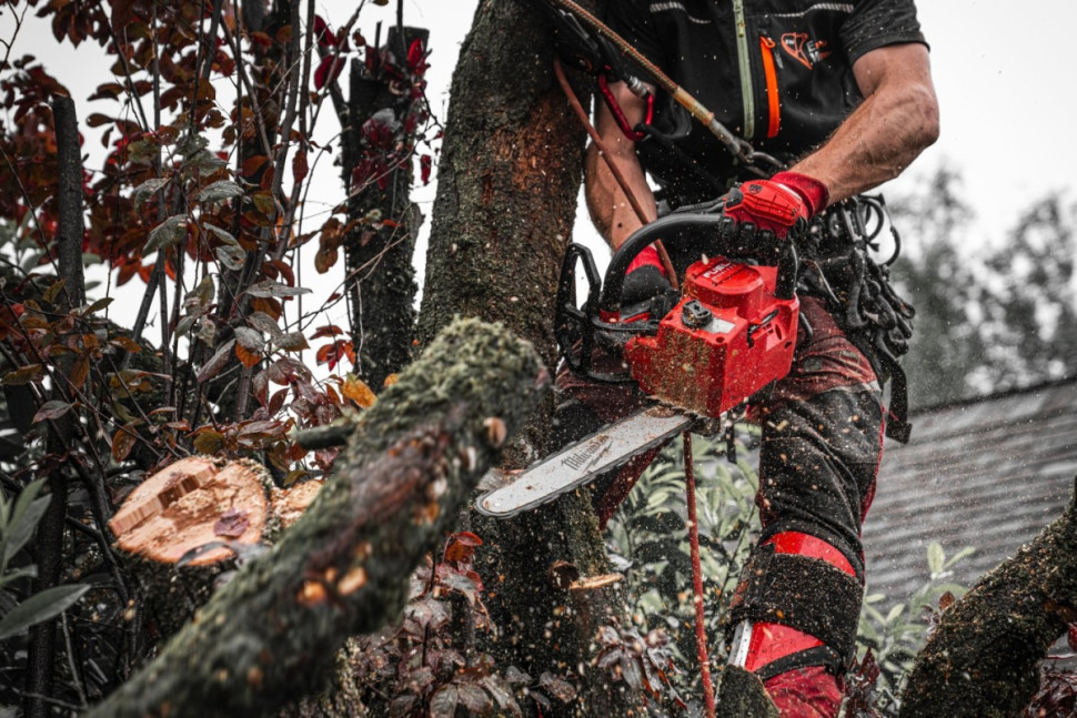 Аккумуляторная пила Milwaukee M18 FTHCHS35-802 4933479589 (с 2-мя АКБ)