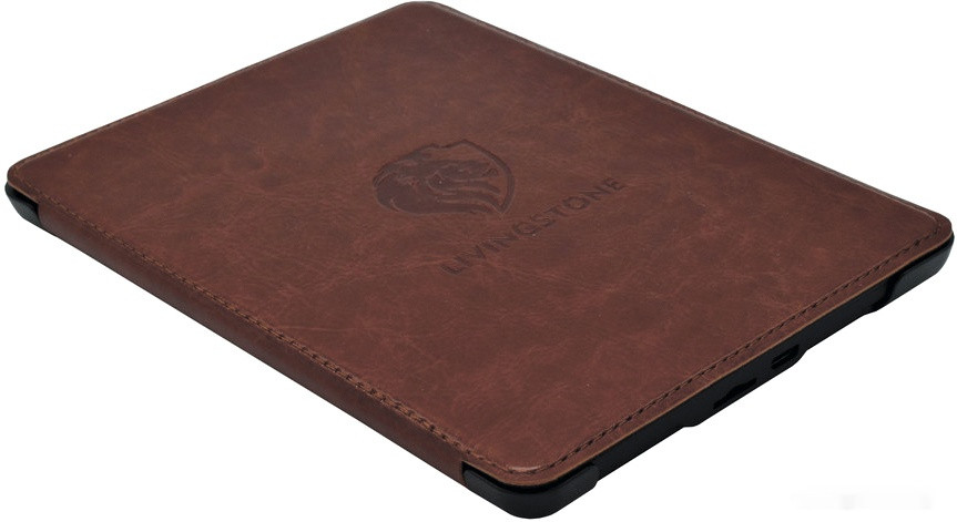 Электронная книга Onyx BOOX Livingstone 2