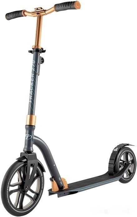 Самокат Techteam Tracker 270 2020 (серый/золотистый)