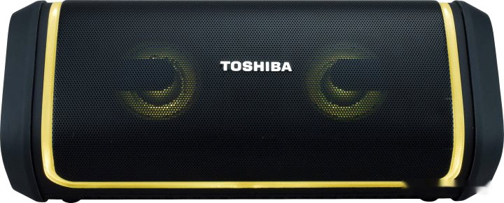 Портативная акустика Toshiba TY-WSP150