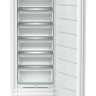 Морозильник Liebherr FNd 7026 Plus NoFrost