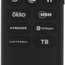 Телевизор Sber SDX-43F3000DSA