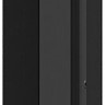 Информационная панель Lumien Basic G3 LB4350SDG3