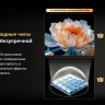 Телевизор Skyworth 65X66H