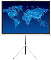 Проекционный экран Cactus Triscreen CS-PST-150x150 1:1 (White)