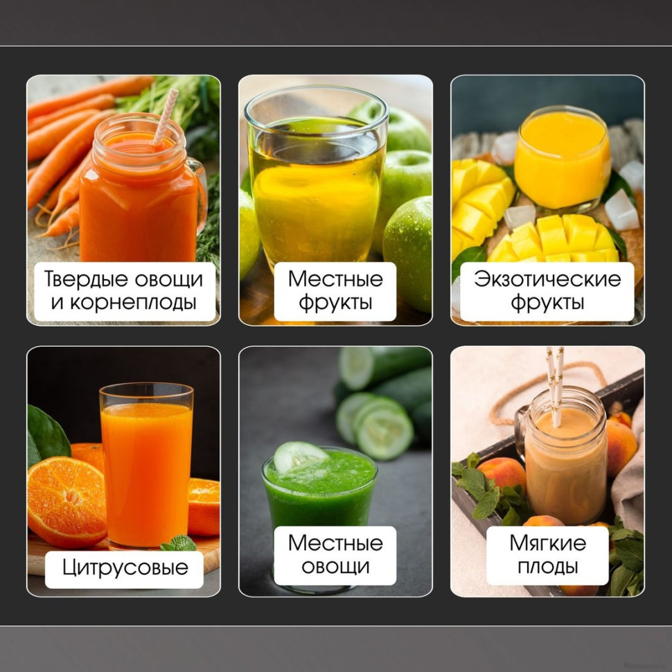 Соковыжималка Zigmund & Shtain EJ-756