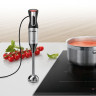 Блендер Bosch MS6CM6166