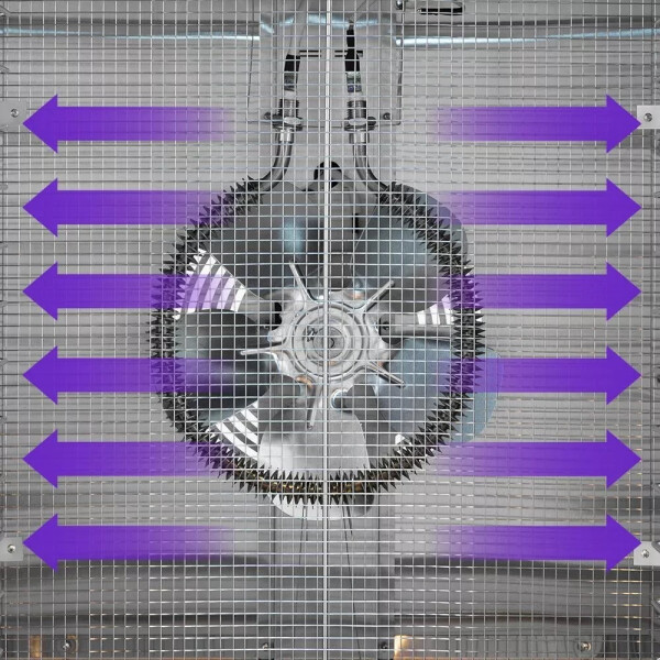 Сушилка для овощей и фруктов Kitfort KT-1951