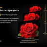 Телевизор Skyworth 75X67H