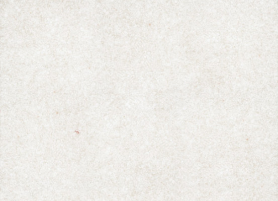 Кухонная мойка GranFest Practic GF-P505 (белый)