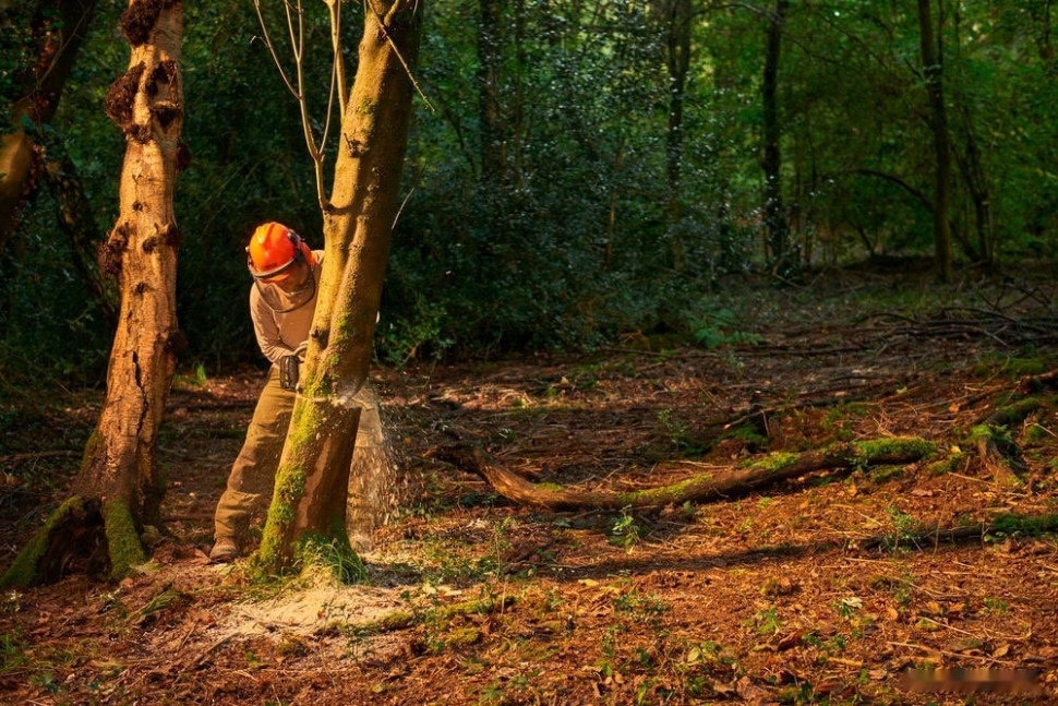 Аккумуляторная пила Ryobi RY36CSX35A-150 (с АКБ 5 Ah)