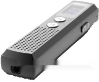 Диктофон Ritmix RR-120 8GB (черный)