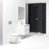 Унитаз Laufen Pack Pro Rimless 869966000000R
