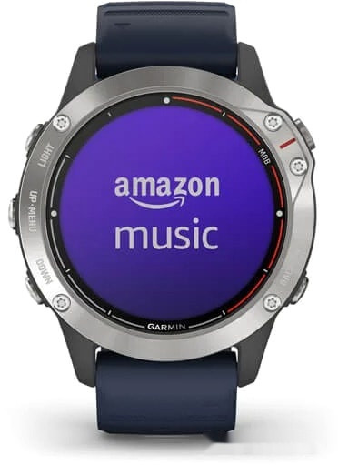 Умные часы Garmin Quatix 6 47 мм (серый/синий)