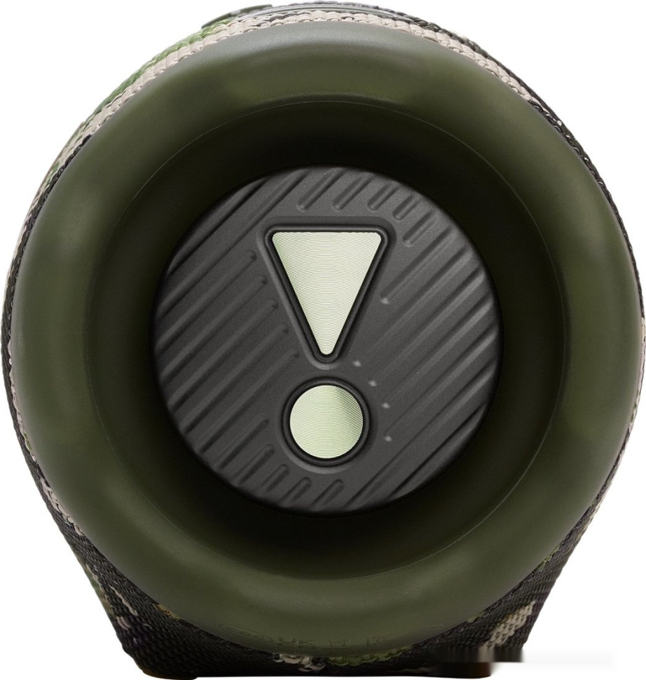 Портативная акустика JBL Charge 6 (камуфляж)