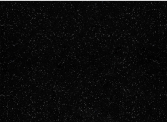 Кухонная мойка GranFest Practic GF-P505 (черный)