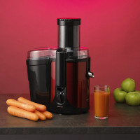 Соковыжималка Scarlett SC-JE50S48