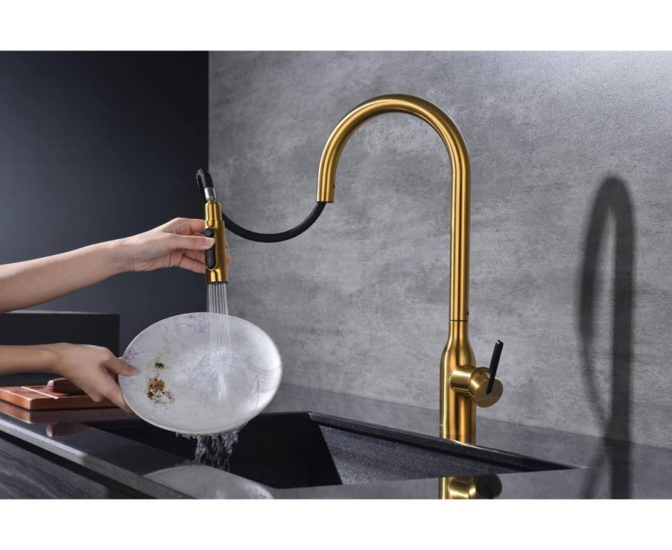 Смеситель Paulmark Iniversal Un213880-BG (золото/брашированное золото)