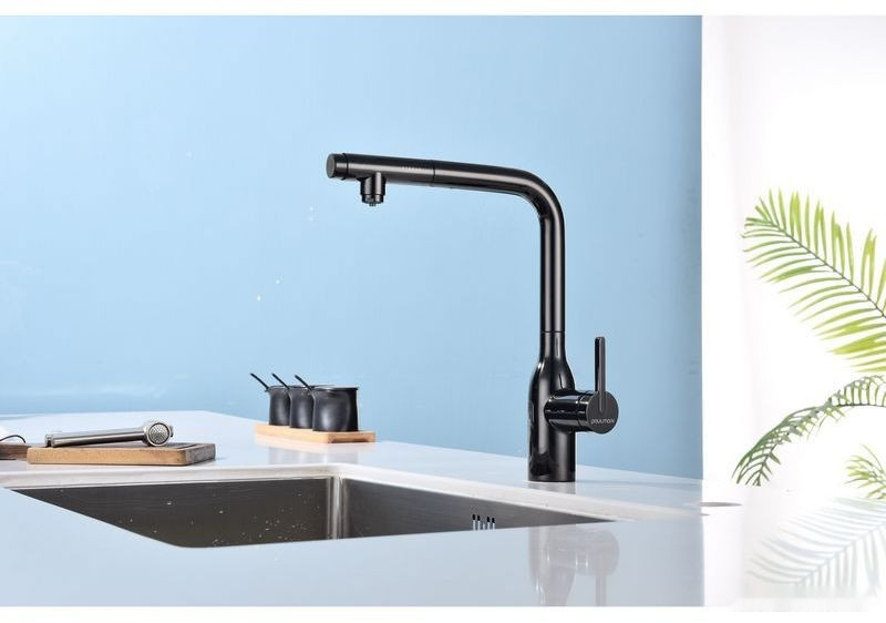 Смеситель Paulmark Viper VI213105-GB (черный/черный глянцевый)