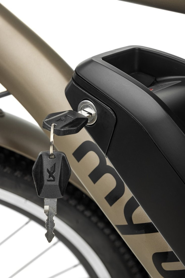 Электровелосипед MyWay Let 250 26 (бронзовый)