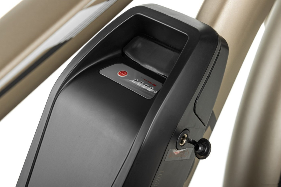 Электровелосипед MyWay Let 250 26 (бронзовый)