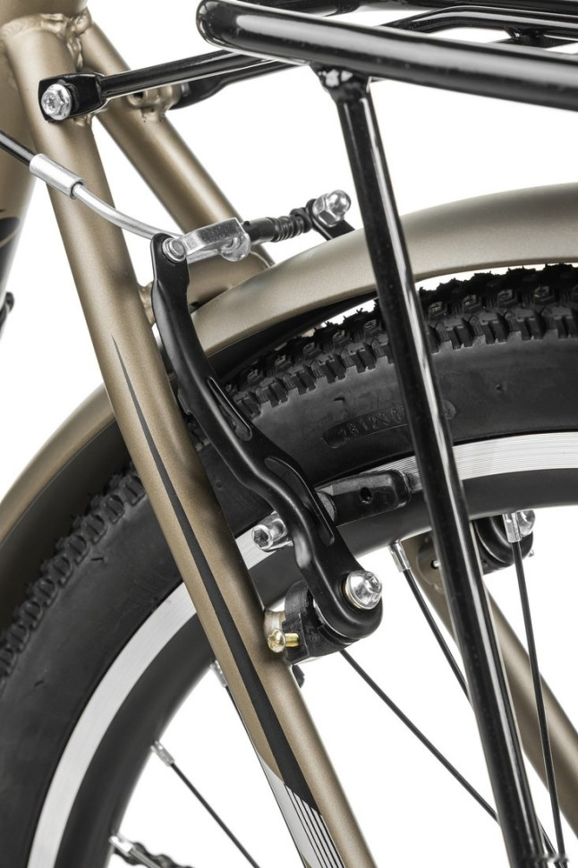 Электровелосипед MyWay Let 250 26 (бронзовый)