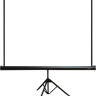 Проекционный экран PL Magna TRM-NTSC-120D