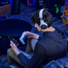 Наушники RAZER Kaira Pro для PlayStation (белый)