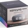 Умная колонка VK Капсула Мини (светло-серый)