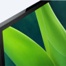 Телевизор Sony KD-32W830K