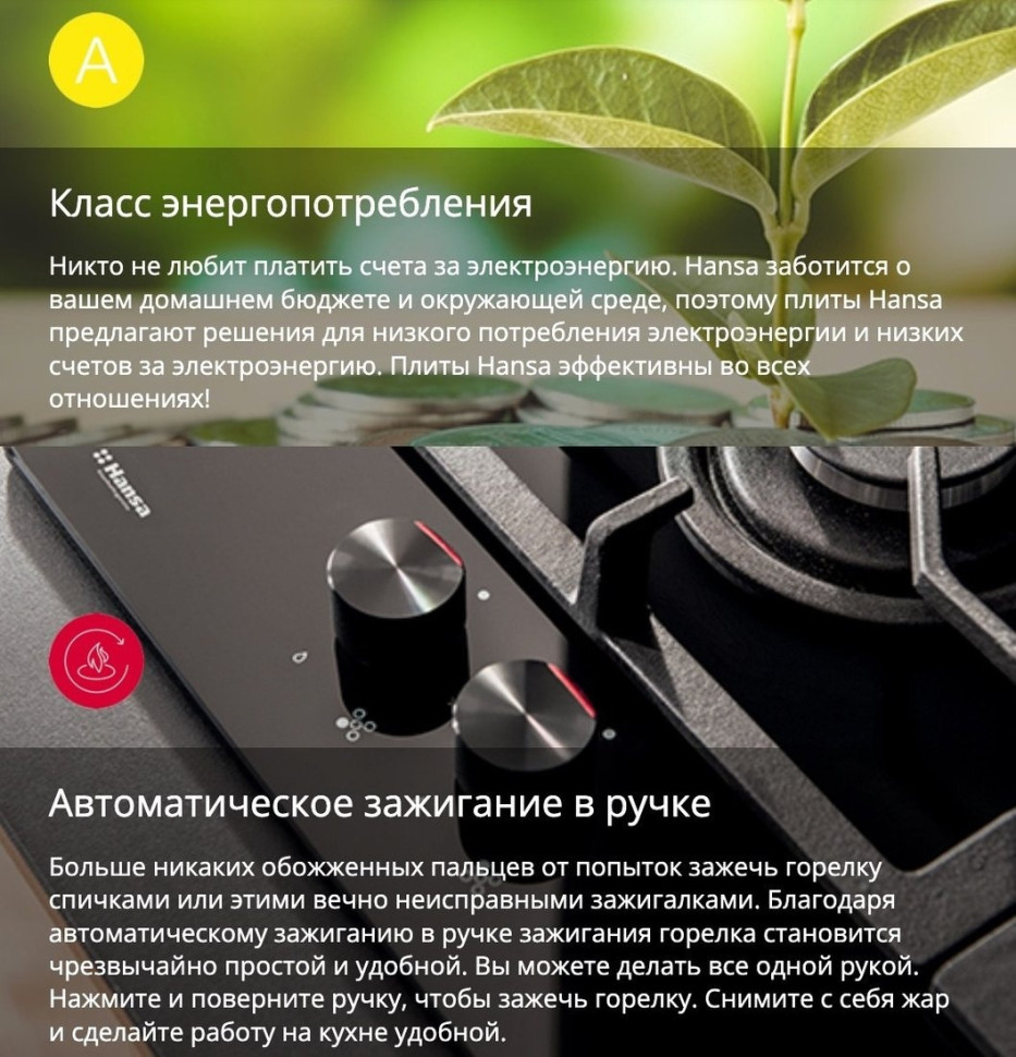 Плита Hansa FCMW59329