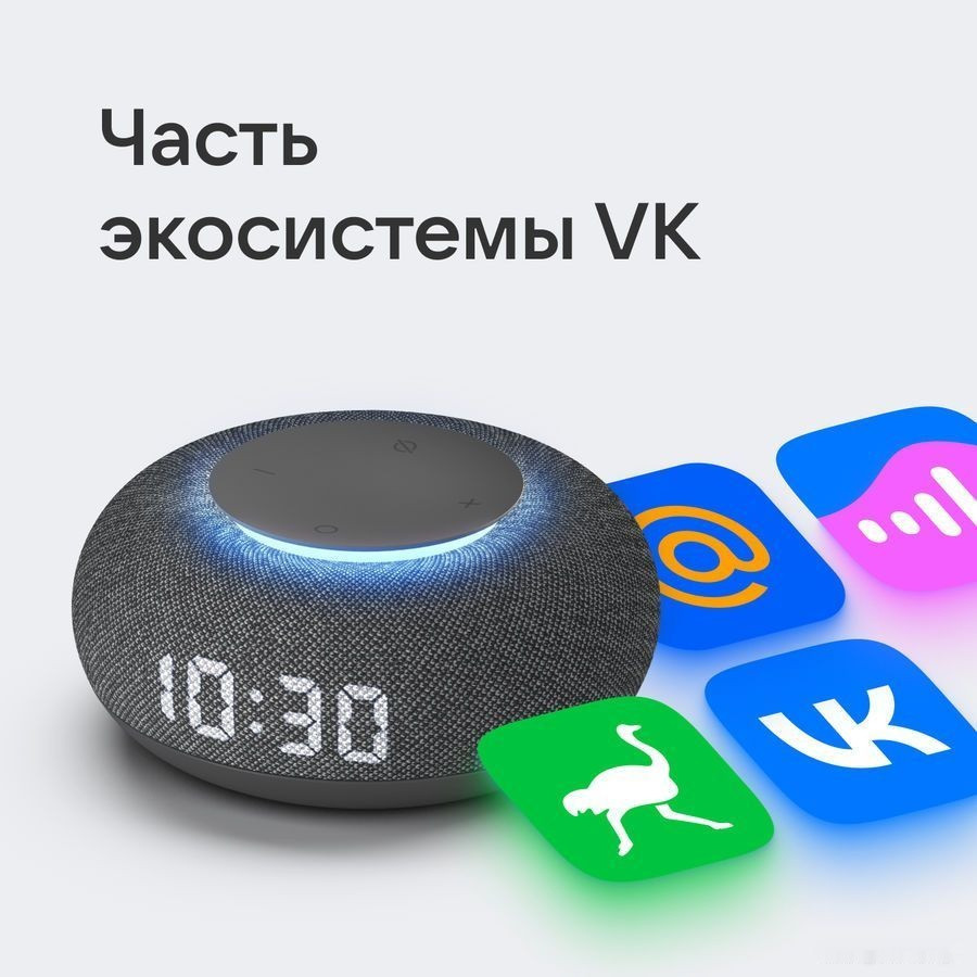 Умная колонка VK Капсула Мини (темно-серый)