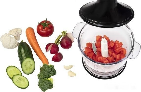 Блендер ARNICA Panna Stick