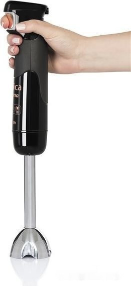 Блендер ARNICA Panna Stick