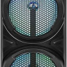 Портативная акустика Blackton Bt PBS2116