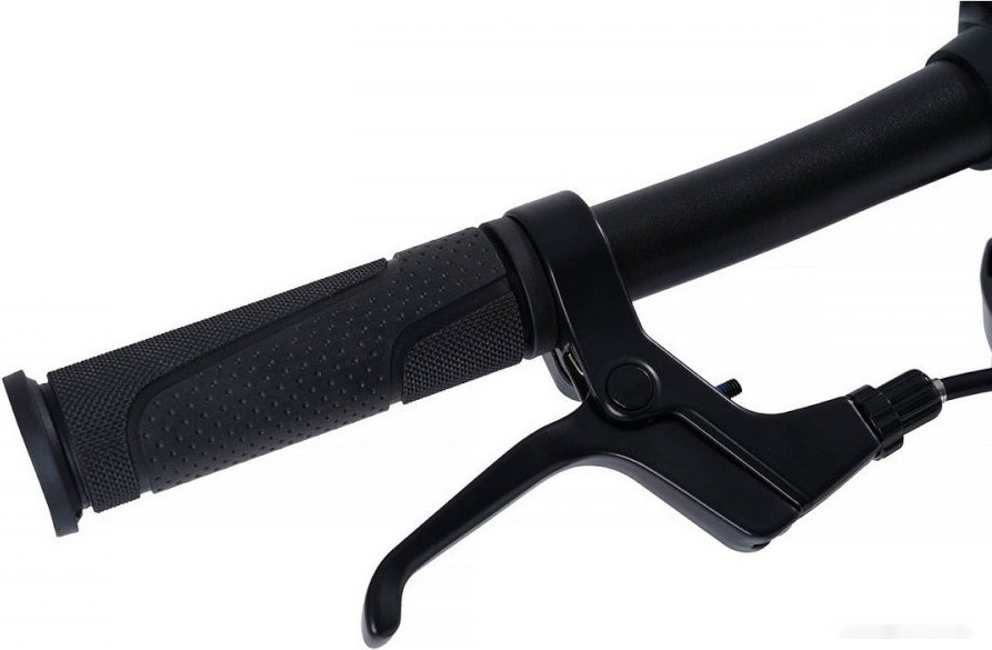 Детский велосипед Maxiscoo S007 Pro 2024 (бронзовый)