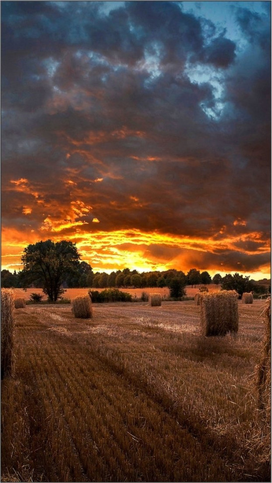 Информационная панель Samsung VM46B-U LH46VMBUBGBXCI