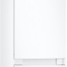 Холодильник Samsung BRB30602FWW/EF