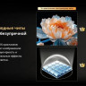 Телевизор Skyworth 55X66H
