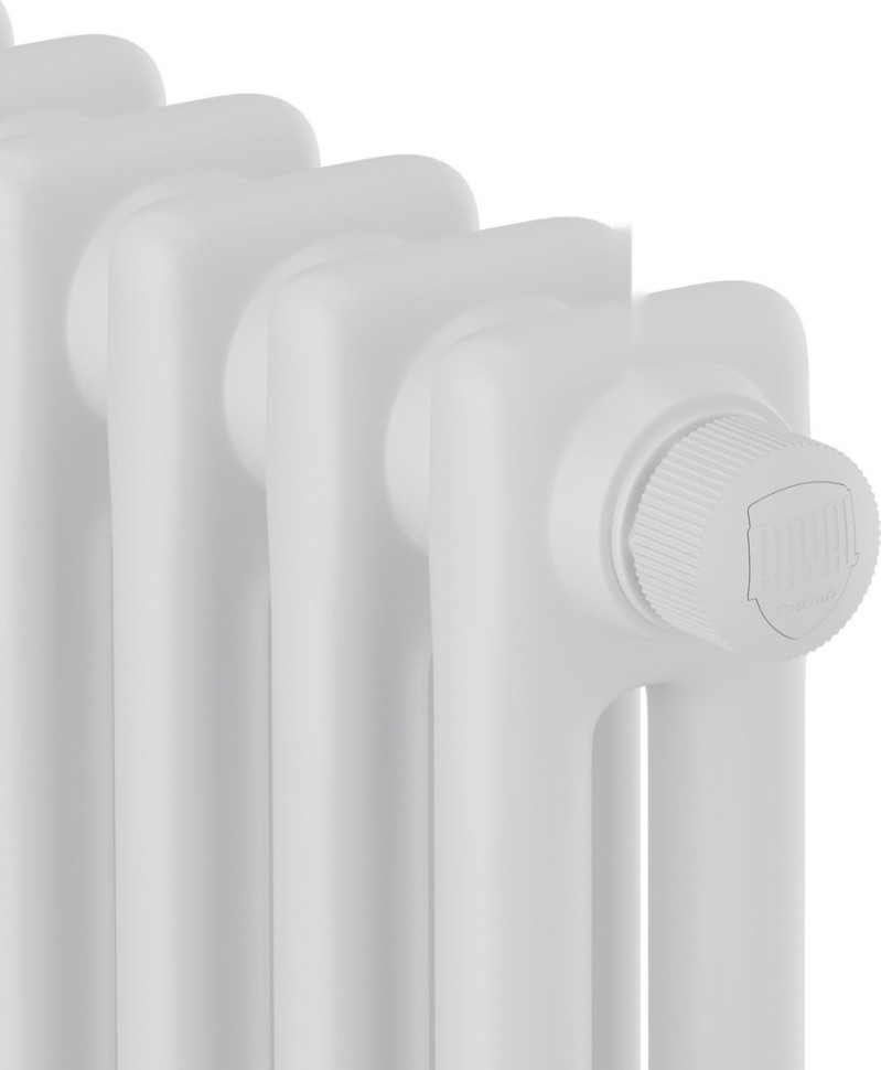 Радиатор Royal Thermo Insignia VC2180 - 10 секций RAL9016