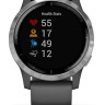 Умные часы Garmin Vivoactive 4 (серый/серебристый)