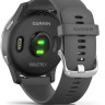 Умные часы Garmin Vivoactive 4 (серый/серебристый)