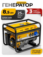 Генератор Denzel GE 8900