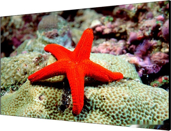 Информационная панель Hikvision DS-D2055LU-Y