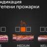Электрогриль RED Solution SteakPro RGM-M816P