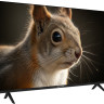 Телевизор TopDevice 43" SALUTE TV TDWC43BF4260V