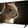 Телевизор TopDevice 43" SALUTE TV TDWC43BF4260V