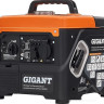 Генератор Gigant GPIGL-1000О
