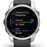 Умные часы Garmin Fenix 7S (серебристый/графитовый)