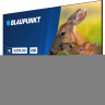 Телевизор Blaupunkt 43UBC6000T